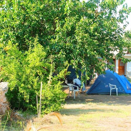 Medusa Camping Patara Dış mekan fotoğraf