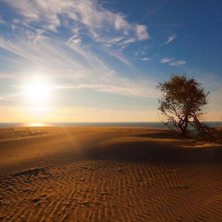 Medusa Camping Patara Dış mekan fotoğraf