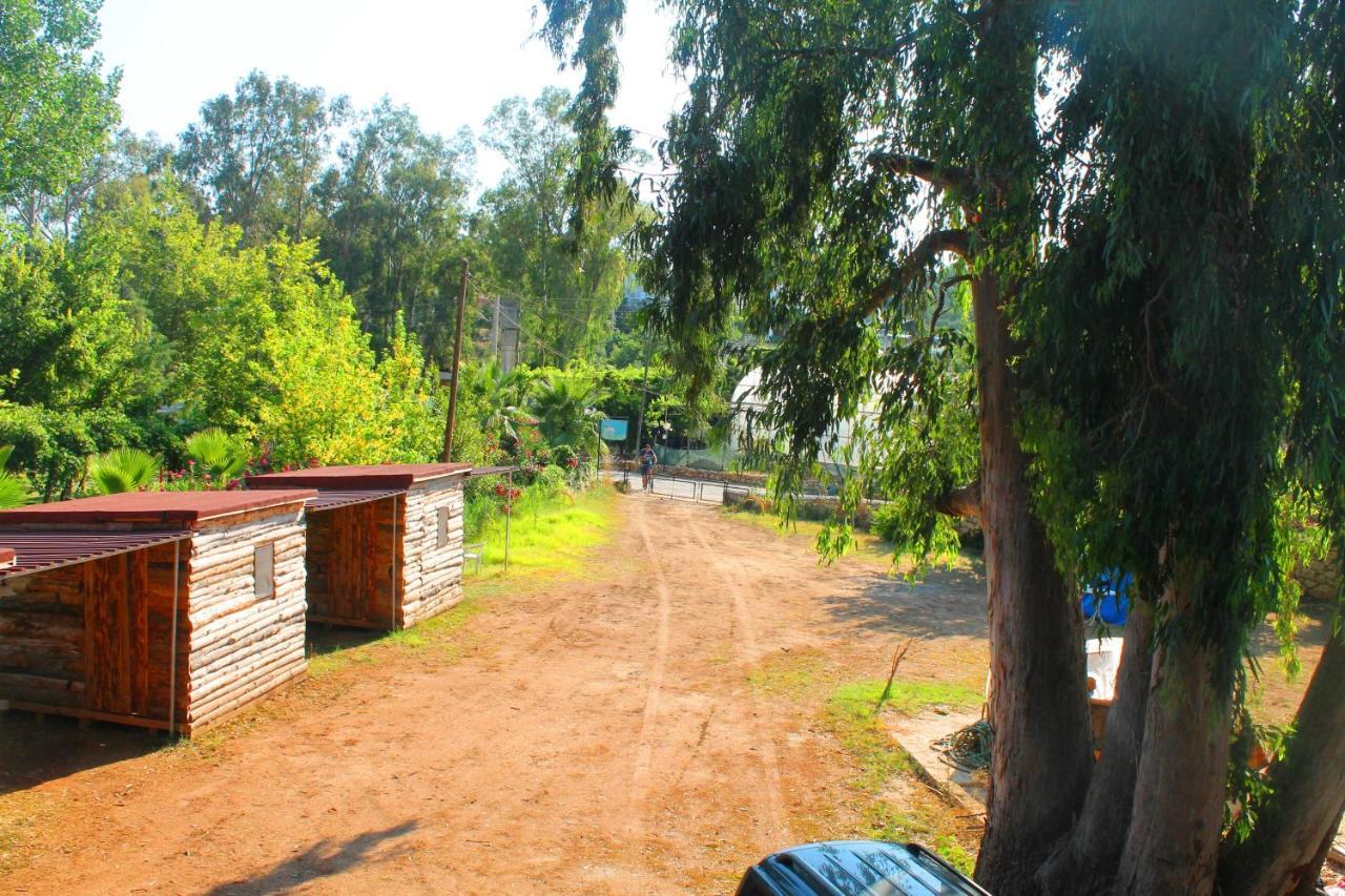 Medusa Camping Patara Dış mekan fotoğraf
