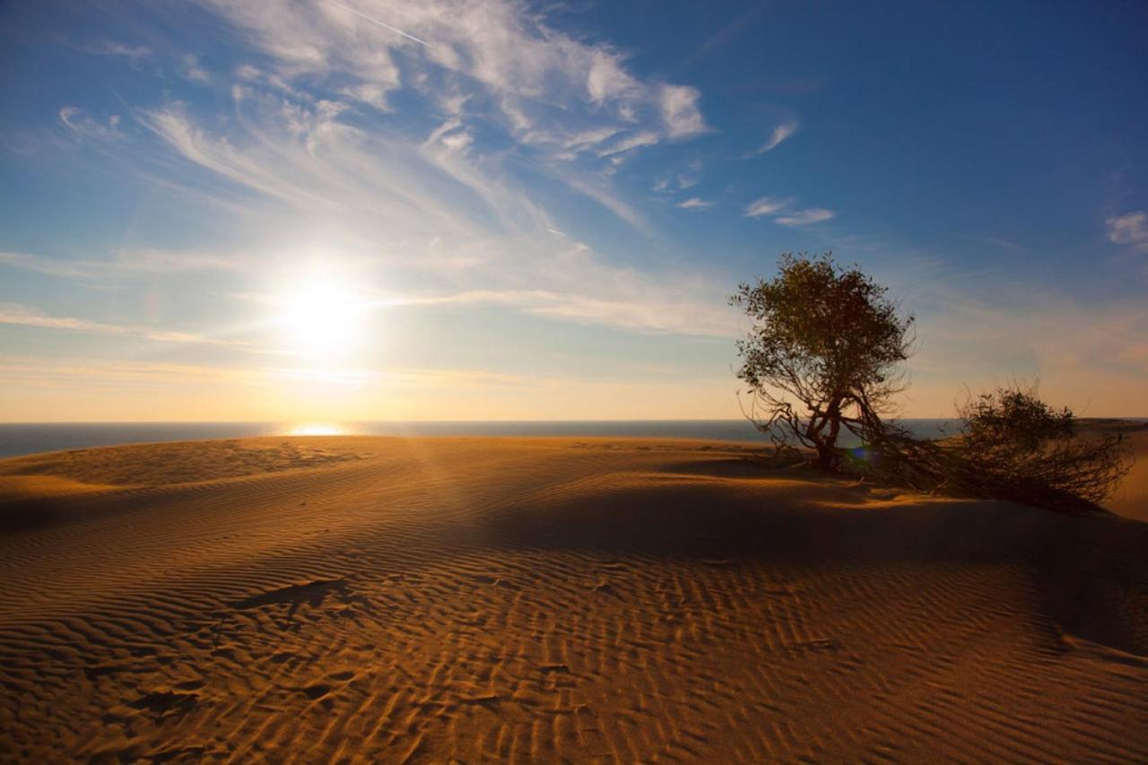 Medusa Camping Patara Dış mekan fotoğraf